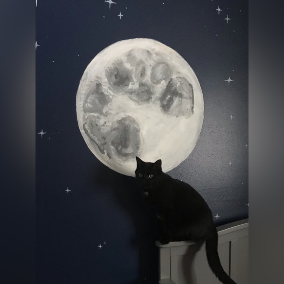 LikeforliveNotifications! Bid responsibly.No cancellations$15 minimum purchase - Picture 4 of 4